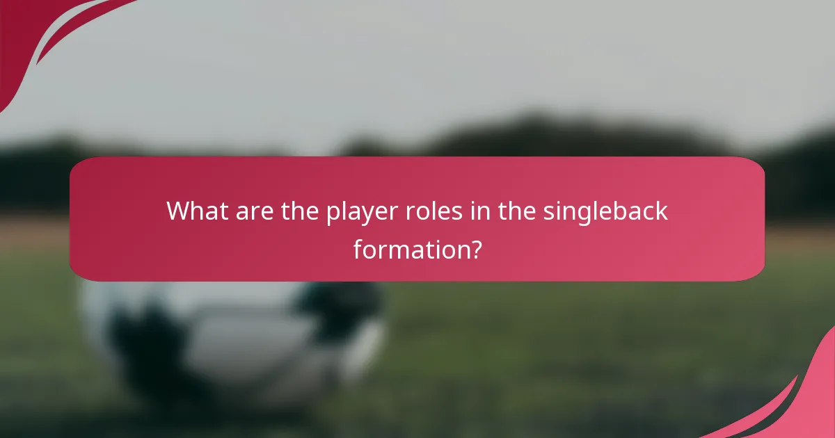 What are the player roles in the singleback formation?